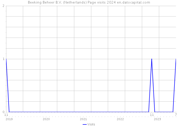 Beeking Beheer B.V. (Netherlands) Page visits 2024 