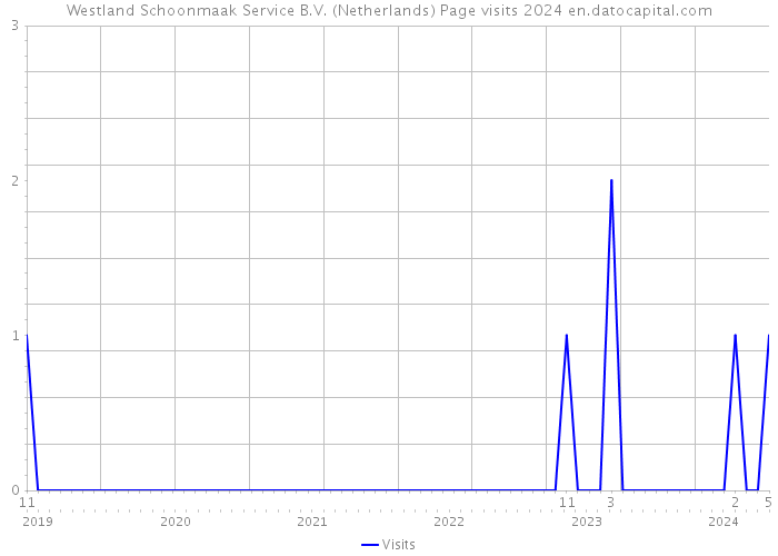 Westland Schoonmaak Service B.V. (Netherlands) Page visits 2024 