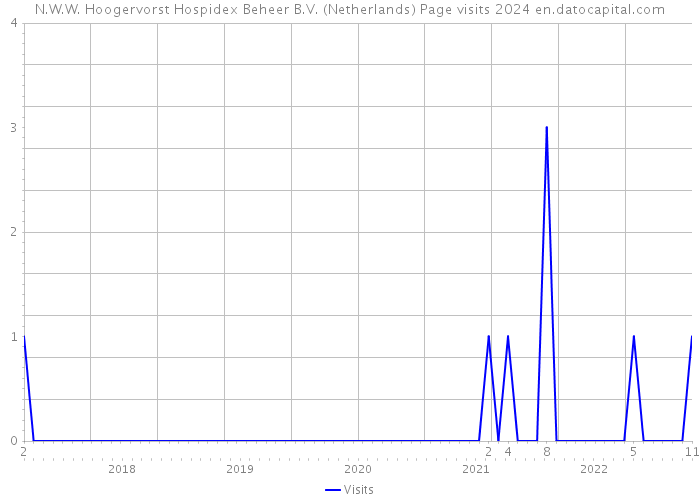 N.W.W. Hoogervorst Hospidex Beheer B.V. (Netherlands) Page visits 2024 