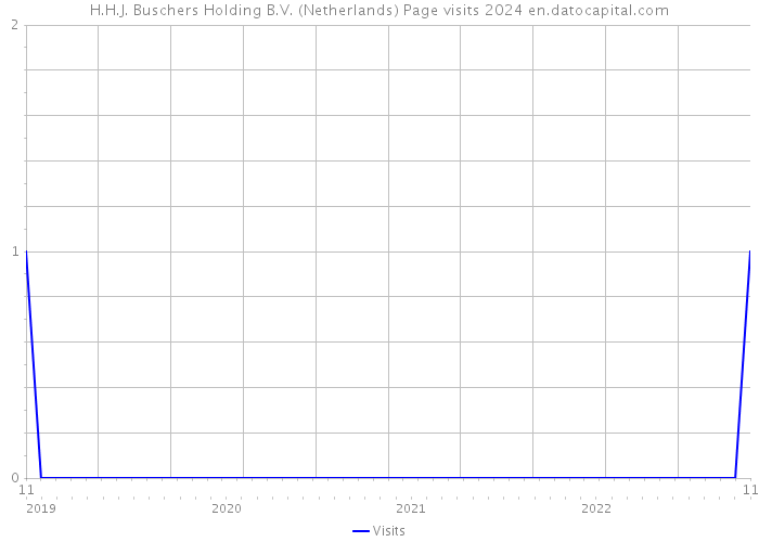 H.H.J. Buschers Holding B.V. (Netherlands) Page visits 2024 