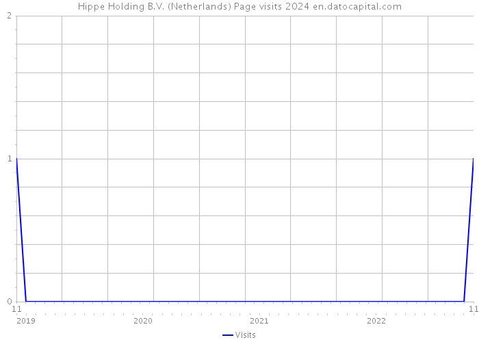 Hippe Holding B.V. (Netherlands) Page visits 2024 