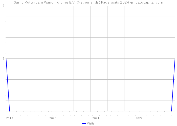 Sumo Rotterdam Wang Holding B.V. (Netherlands) Page visits 2024 