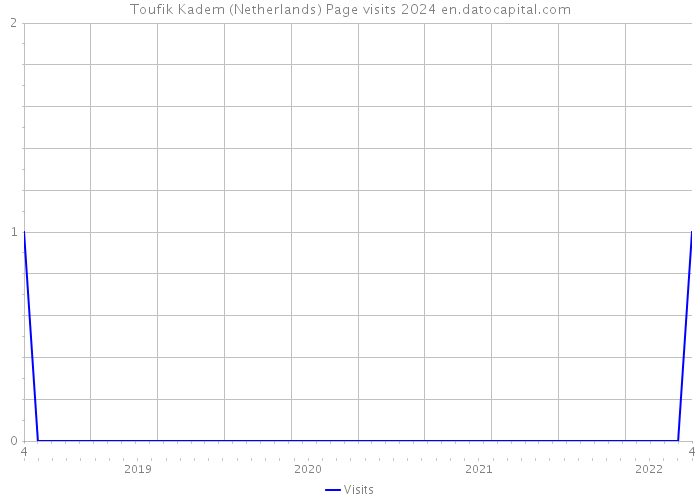 Toufik Kadem (Netherlands) Page visits 2024 