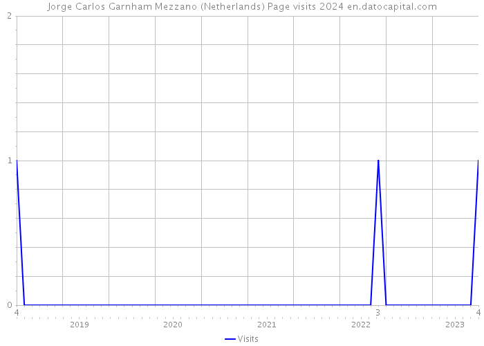 Jorge Carlos Garnham Mezzano (Netherlands) Page visits 2024 