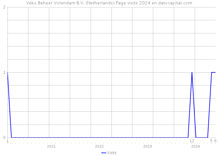 Veko Beheer Volendam B.V. (Netherlands) Page visits 2024 