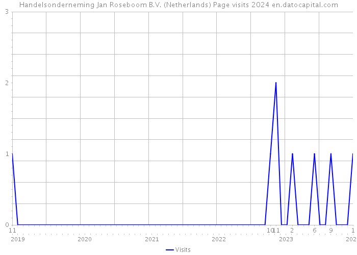 Handelsonderneming Jan Roseboom B.V. (Netherlands) Page visits 2024 