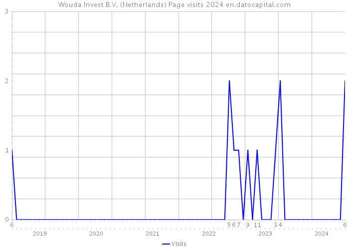 Wouda Invest B.V. (Netherlands) Page visits 2024 