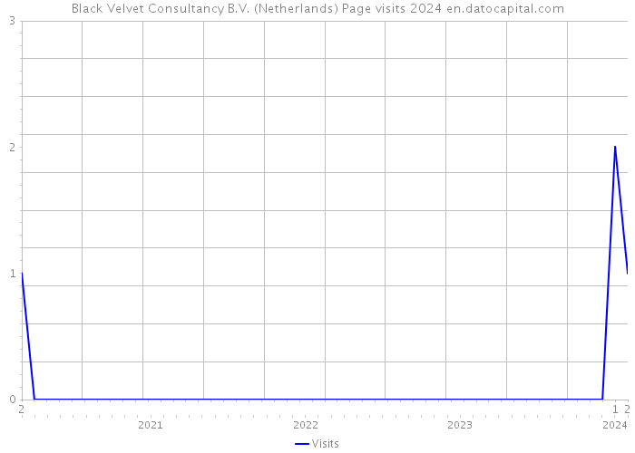 Black Velvet Consultancy B.V. (Netherlands) Page visits 2024 