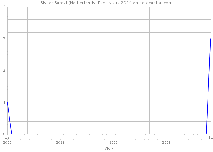 Bisher Barazi (Netherlands) Page visits 2024 