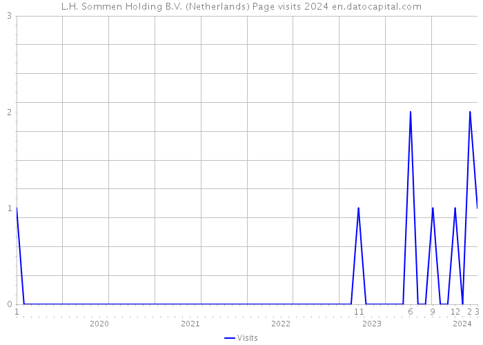 L.H. Sommen Holding B.V. (Netherlands) Page visits 2024 