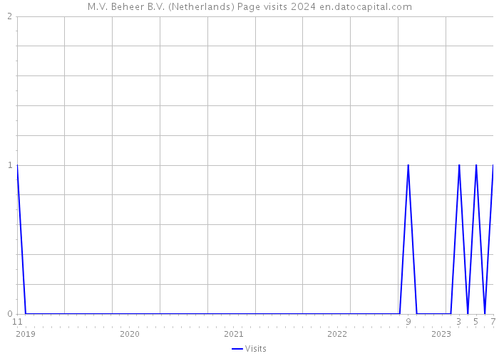 M.V. Beheer B.V. (Netherlands) Page visits 2024 