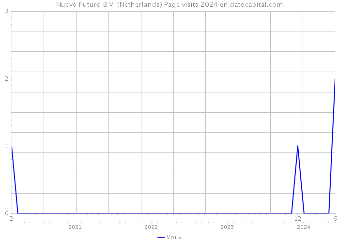 Nuevo Futuro B.V. (Netherlands) Page visits 2024 