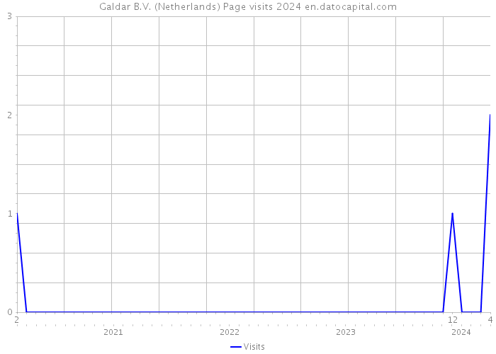 Galdar B.V. (Netherlands) Page visits 2024 