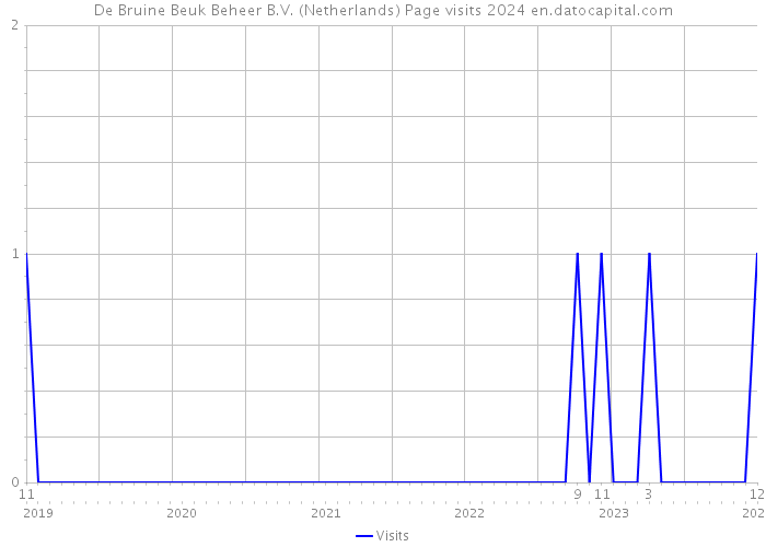 De Bruine Beuk Beheer B.V. (Netherlands) Page visits 2024 