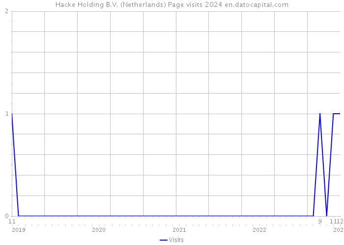 Hacke Holding B.V. (Netherlands) Page visits 2024 