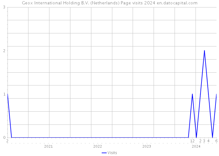 Geox International Holding B.V. (Netherlands) Page visits 2024 