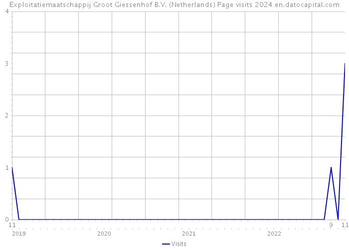 Exploitatiemaatschappij Groot Giessenhof B.V. (Netherlands) Page visits 2024 