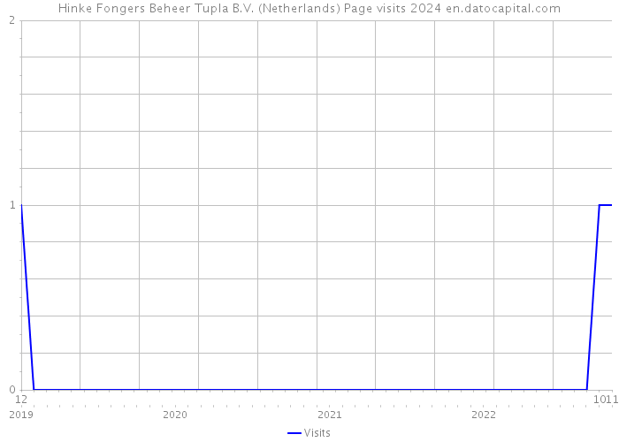 Hinke Fongers Beheer Tupla B.V. (Netherlands) Page visits 2024 