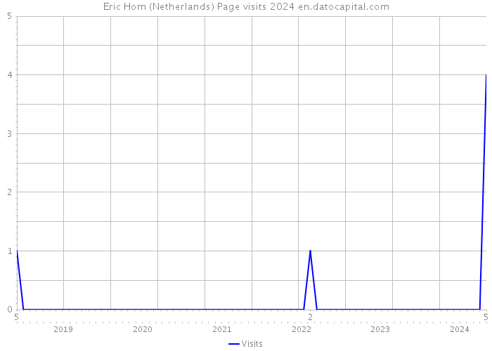 Eric Hom (Netherlands) Page visits 2024 