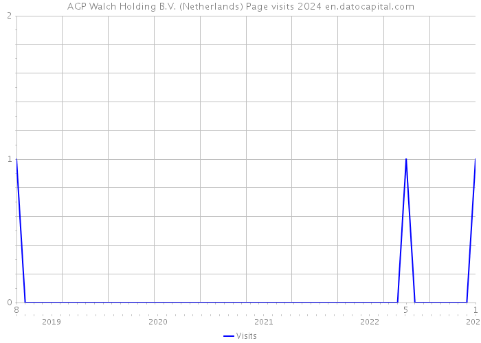 AGP Walch Holding B.V. (Netherlands) Page visits 2024 