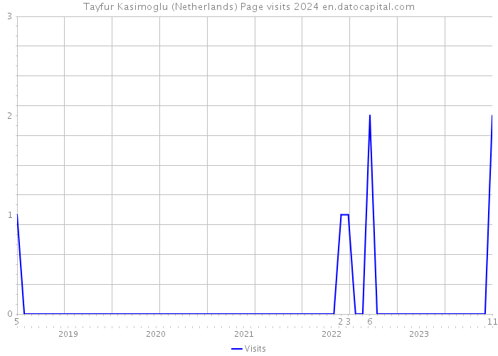 Tayfur Kasimoglu (Netherlands) Page visits 2024 