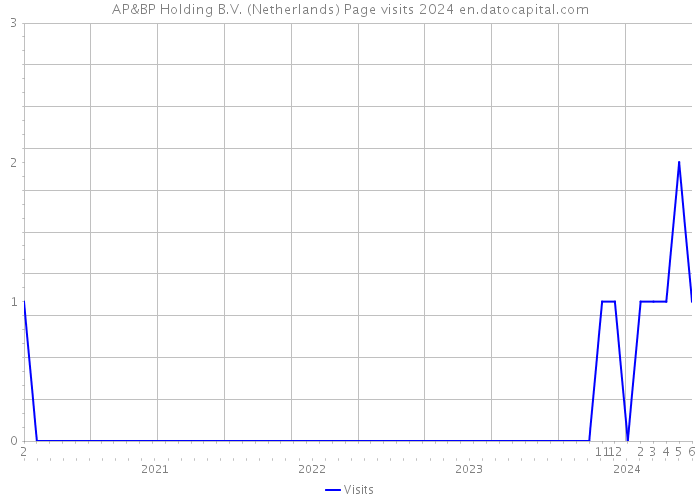 AP&BP Holding B.V. (Netherlands) Page visits 2024 
