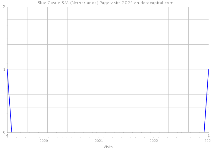 Blue Castle B.V. (Netherlands) Page visits 2024 