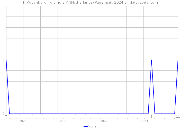 T. Rodenburg Holding B.V. (Netherlands) Page visits 2024 