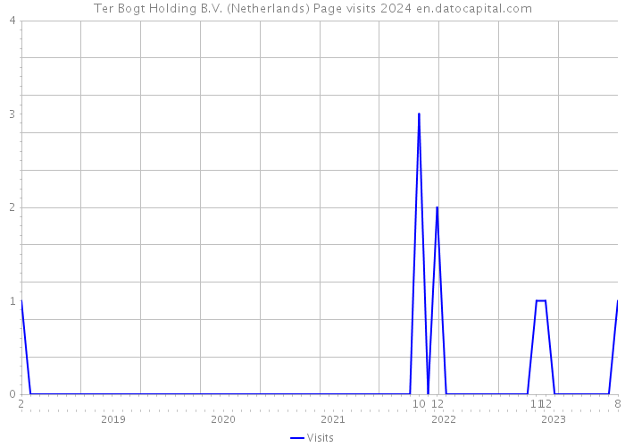 Ter Bogt Holding B.V. (Netherlands) Page visits 2024 