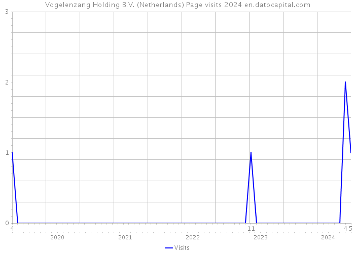 Vogelenzang Holding B.V. (Netherlands) Page visits 2024 