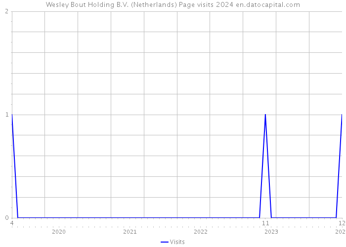 Wesley Bout Holding B.V. (Netherlands) Page visits 2024 