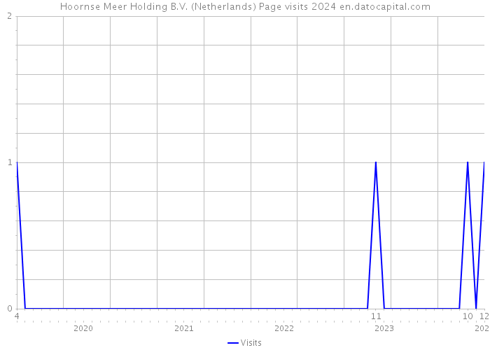 Hoornse Meer Holding B.V. (Netherlands) Page visits 2024 