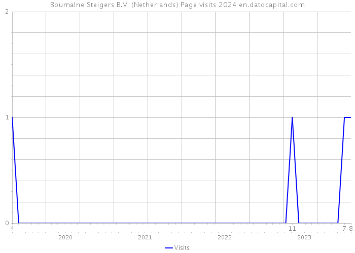 Boumalne Steigers B.V. (Netherlands) Page visits 2024 