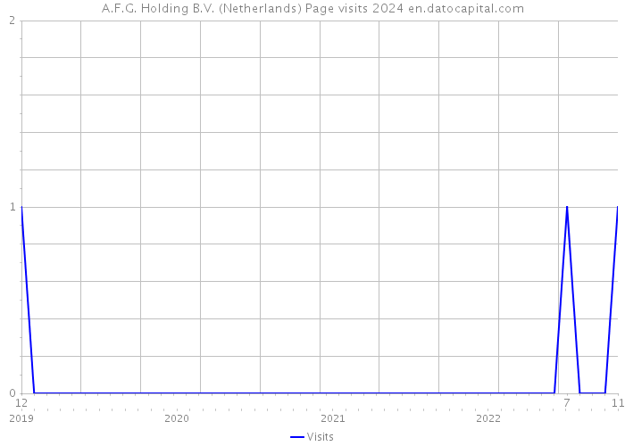 A.F.G. Holding B.V. (Netherlands) Page visits 2024 