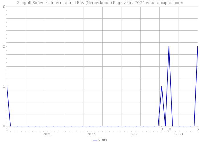 Seagull Software International B.V. (Netherlands) Page visits 2024 