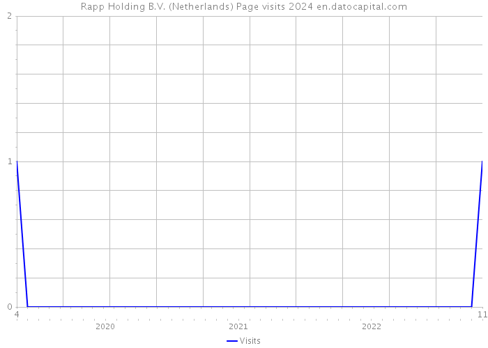 Rapp Holding B.V. (Netherlands) Page visits 2024 