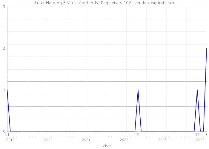Luuk Holding B.V. (Netherlands) Page visits 2024 