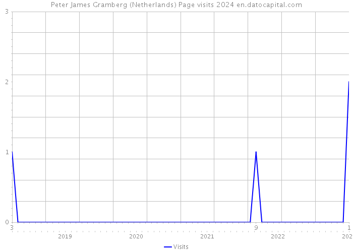Peter James Gramberg (Netherlands) Page visits 2024 
