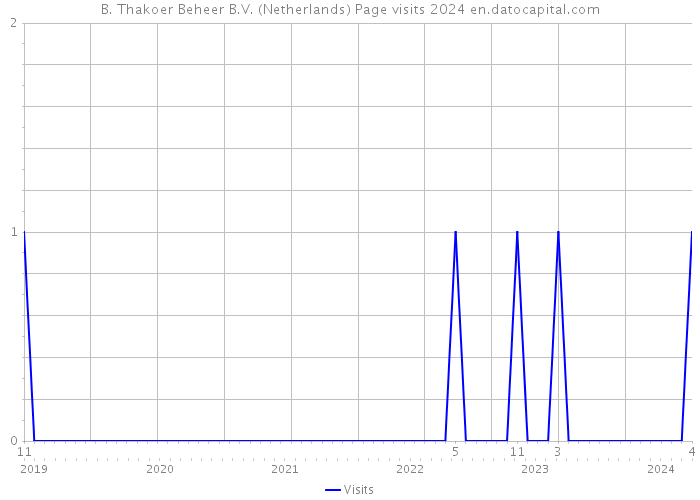 B. Thakoer Beheer B.V. (Netherlands) Page visits 2024 