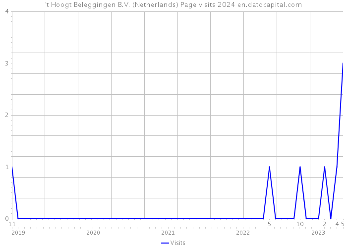 't Hoogt Beleggingen B.V. (Netherlands) Page visits 2024 