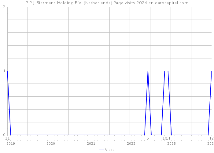 P.P.J. Biermans Holding B.V. (Netherlands) Page visits 2024 