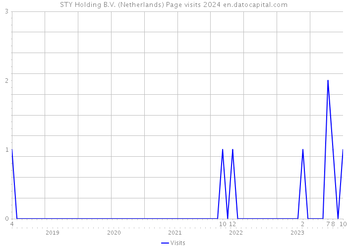 STY Holding B.V. (Netherlands) Page visits 2024 
