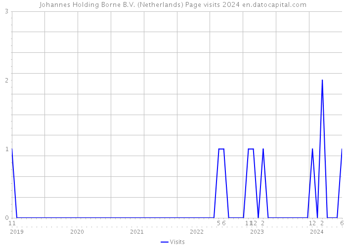 Johannes Holding Borne B.V. (Netherlands) Page visits 2024 
