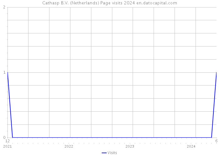 Cathasp B.V. (Netherlands) Page visits 2024 