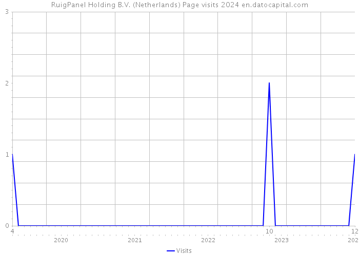 RuigPanel Holding B.V. (Netherlands) Page visits 2024 