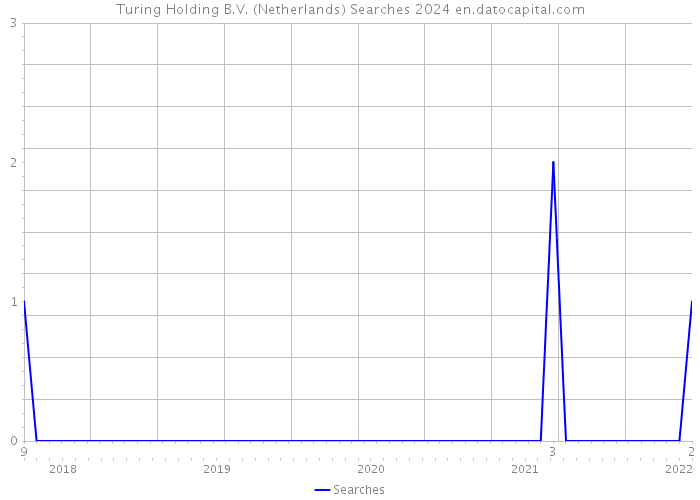 Turing Holding B.V. (Netherlands) Searches 2024 