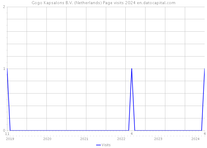 Gogo Kapsalons B.V. (Netherlands) Page visits 2024 