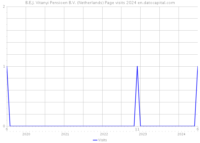 B.E.J. Vitanyi Pensioen B.V. (Netherlands) Page visits 2024 