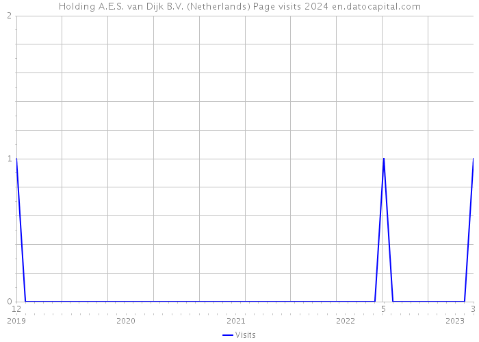 Holding A.E.S. van Dijk B.V. (Netherlands) Page visits 2024 