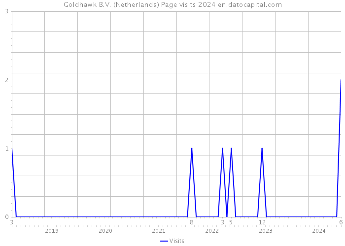 Goldhawk B.V. (Netherlands) Page visits 2024 